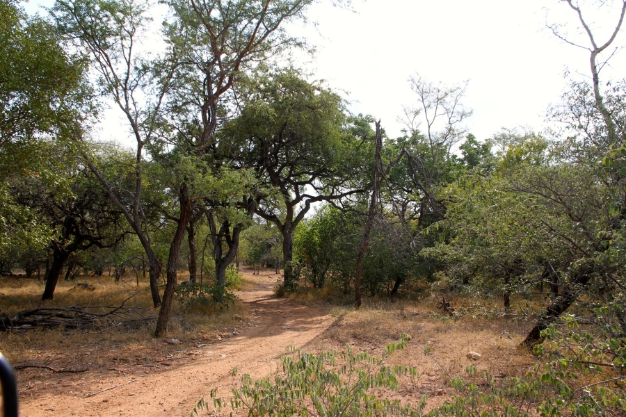 0 Bedroom Property for Sale in Liverpool Limpopo