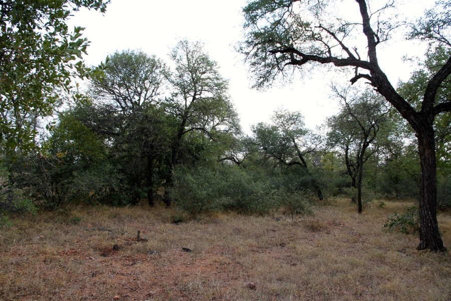 0 Bedroom Property for Sale in Liverpool Limpopo