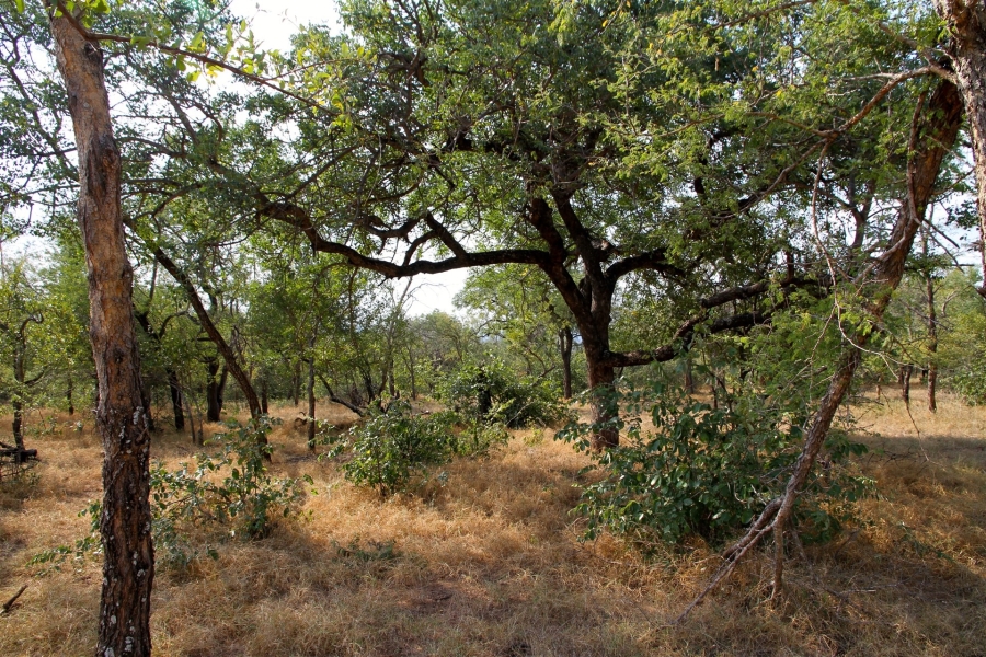 0 Bedroom Property for Sale in Liverpool Limpopo