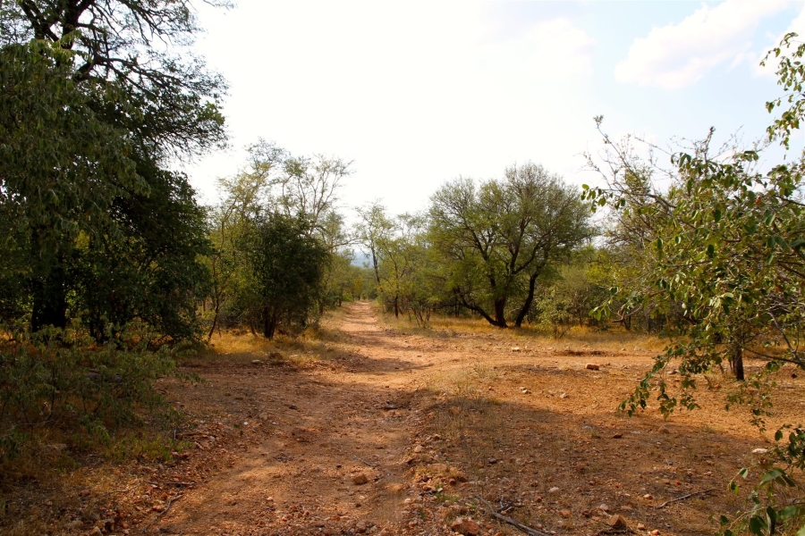 0 Bedroom Property for Sale in Liverpool Limpopo