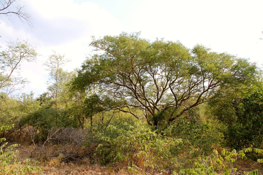 0 Bedroom Property for Sale in Liverpool Limpopo