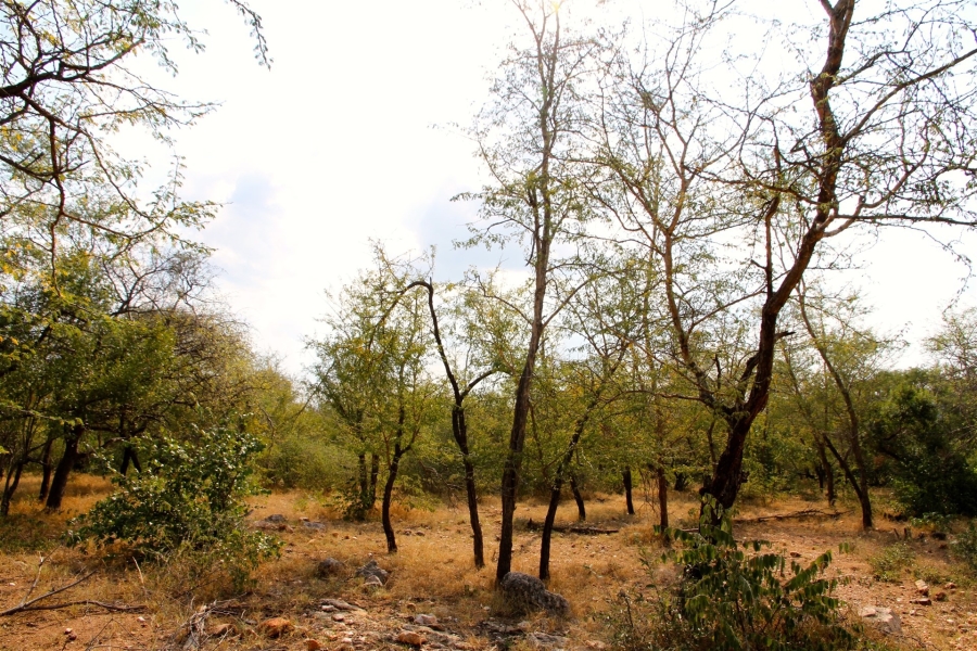 0 Bedroom Property for Sale in Liverpool Limpopo