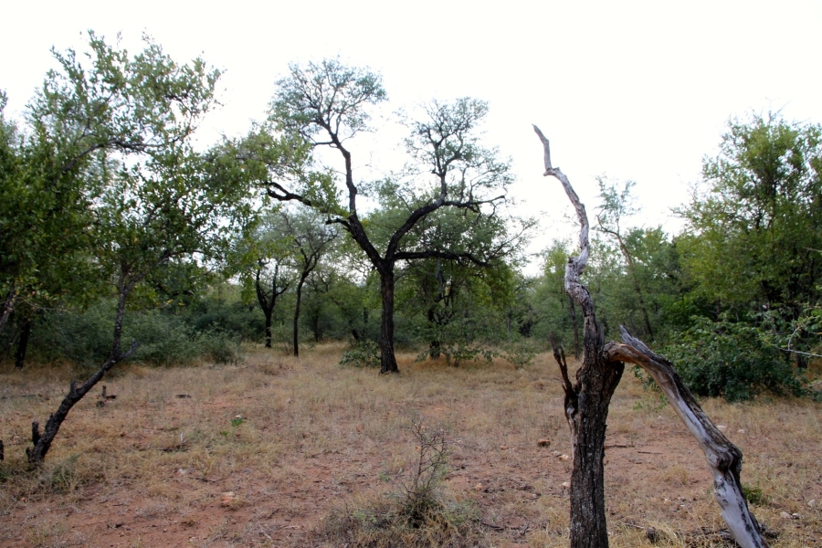 0 Bedroom Property for Sale in Liverpool Limpopo