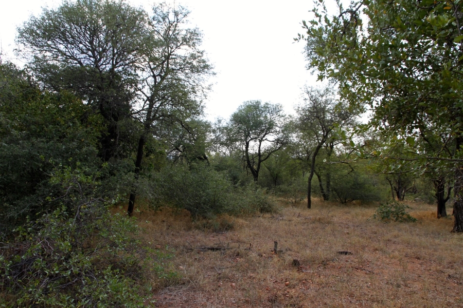 0 Bedroom Property for Sale in Liverpool Limpopo