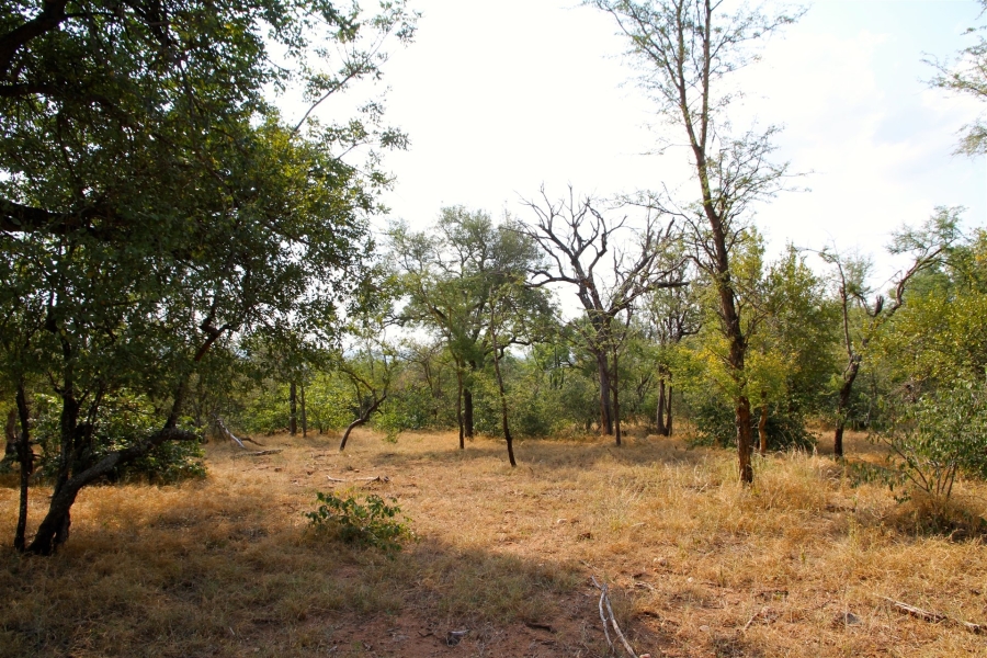 0 Bedroom Property for Sale in Liverpool Limpopo