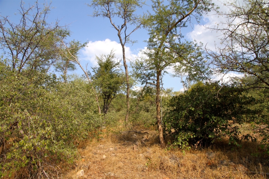 0 Bedroom Property for Sale in Liverpool Limpopo