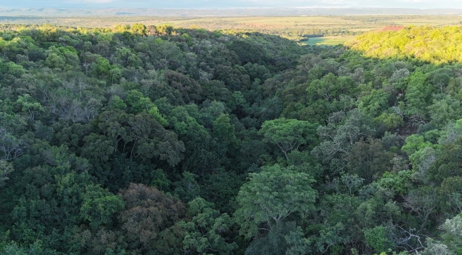 6 Bedroom Property for Sale in Verloren Estate Limpopo