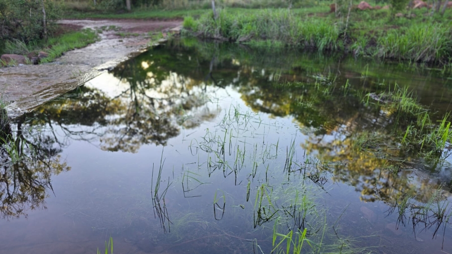 6 Bedroom Property for Sale in Verloren Estate Limpopo