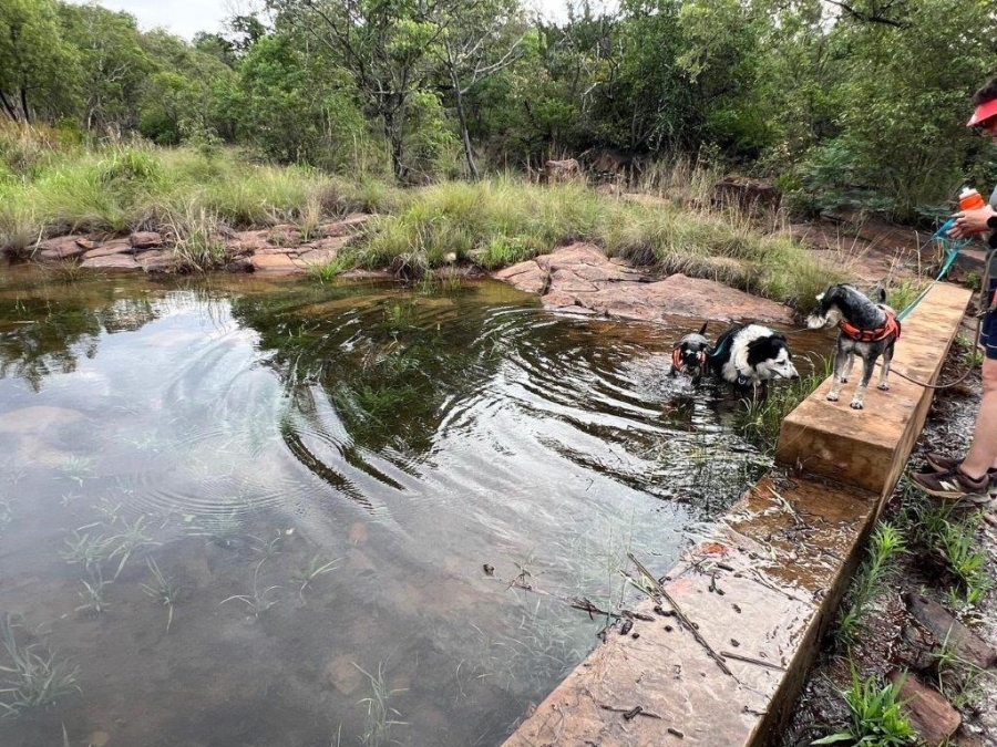 6 Bedroom Property for Sale in Verloren Estate Limpopo