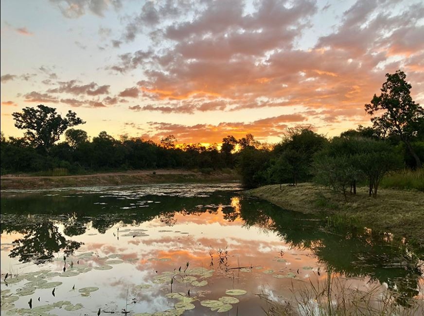 6 Bedroom Property for Sale in Verloren Estate Limpopo