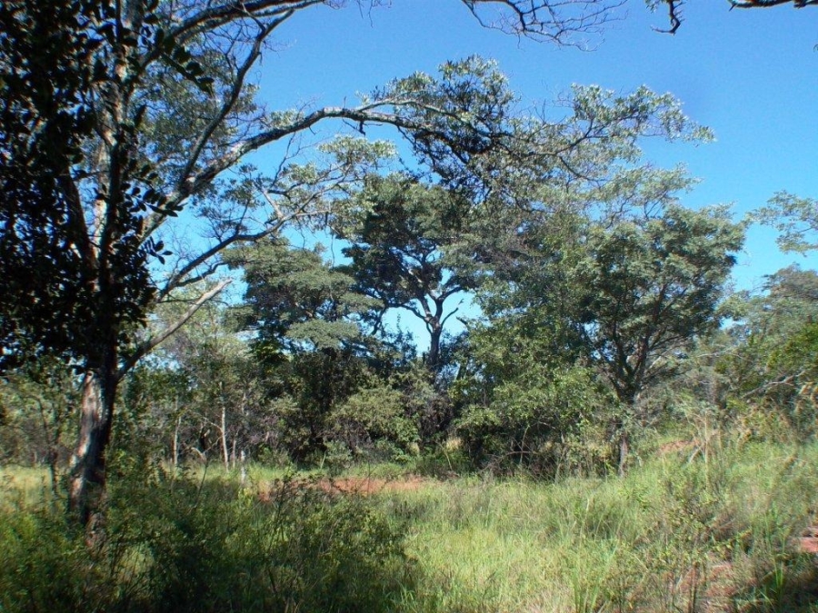 6 Bedroom Property for Sale in Verloren Estate Limpopo