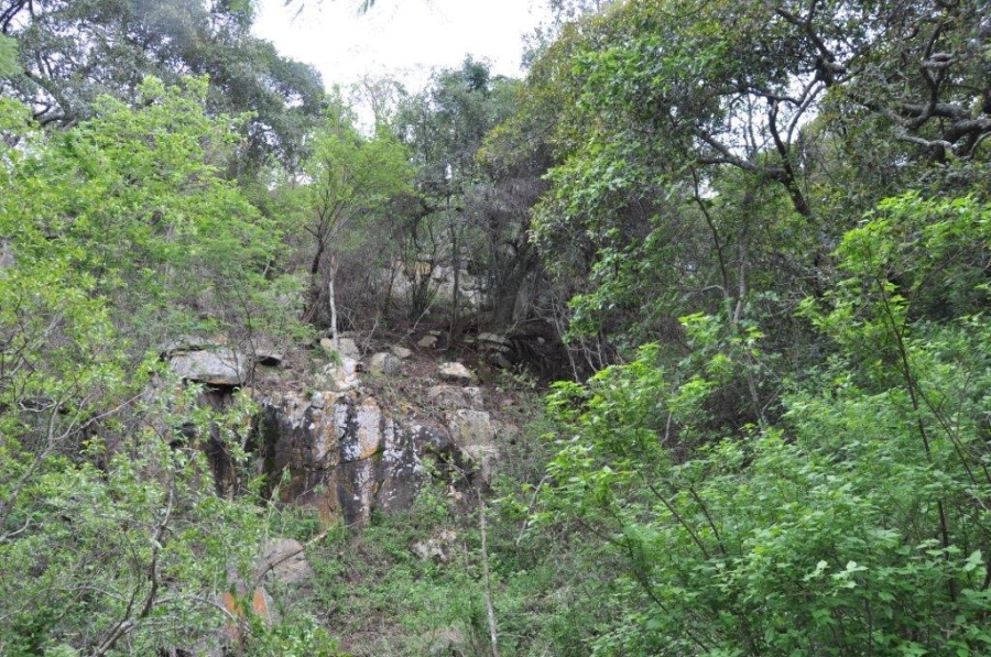 6 Bedroom Property for Sale in Verloren Estate Limpopo