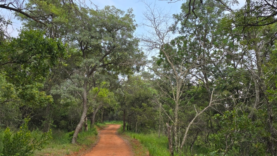 6 Bedroom Property for Sale in Verloren Estate Limpopo