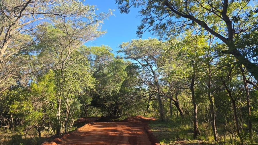 6 Bedroom Property for Sale in Verloren Estate Limpopo