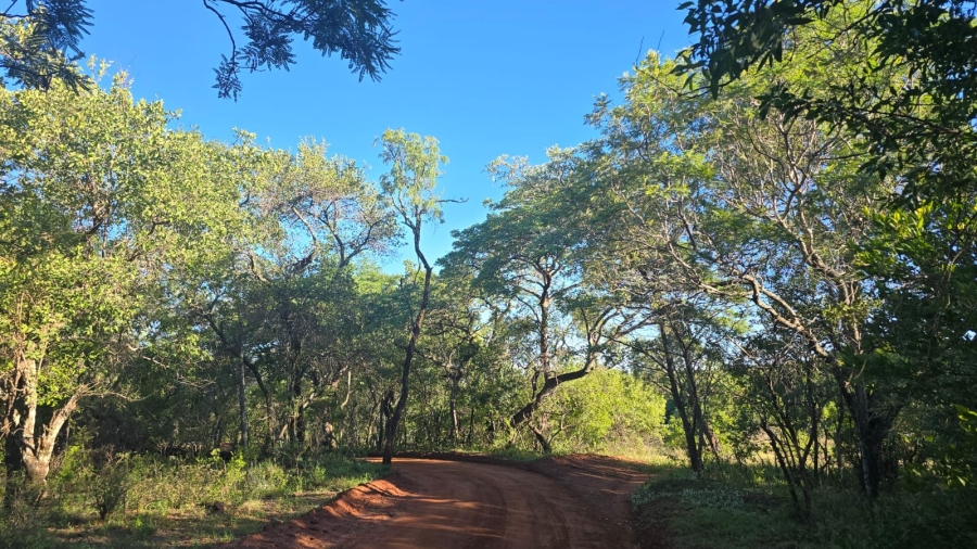 6 Bedroom Property for Sale in Verloren Estate Limpopo