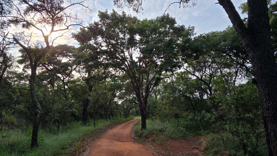 6 Bedroom Property for Sale in Verloren Estate Limpopo