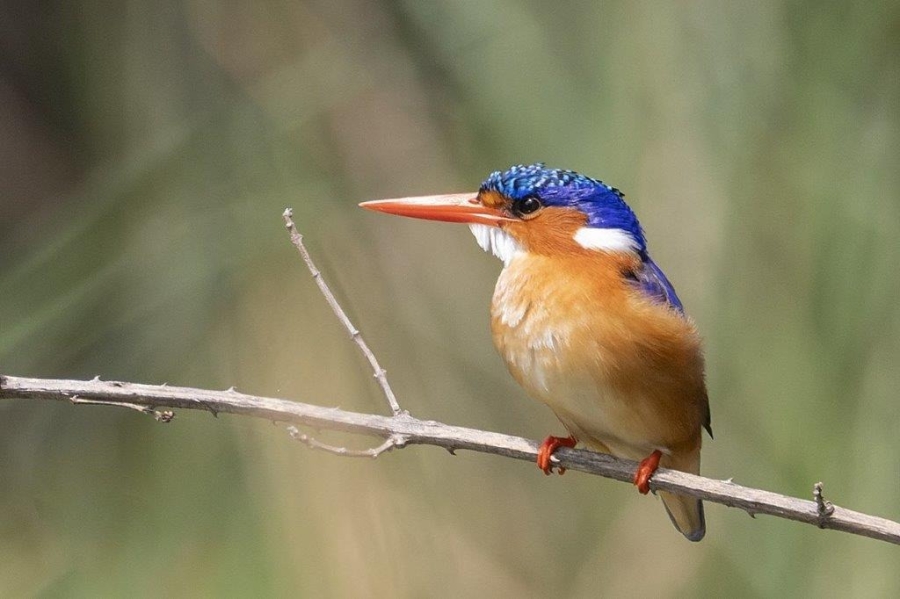 6 Bedroom Property for Sale in Verloren Estate Limpopo