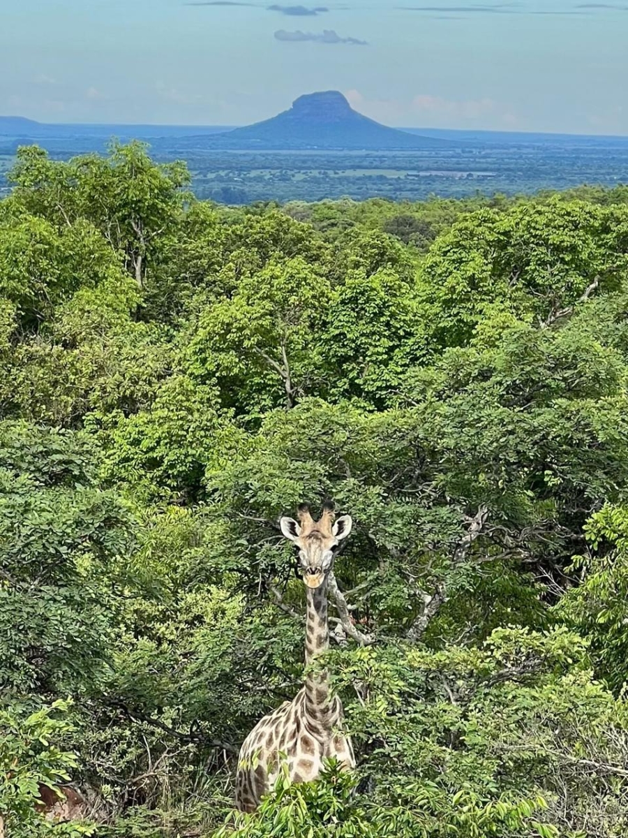 4 Bedroom Property for Sale in Verloren Estate Limpopo