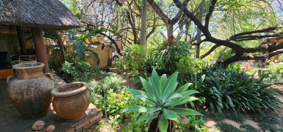 3 Bedroom Property for Sale in Bela Bela Limpopo