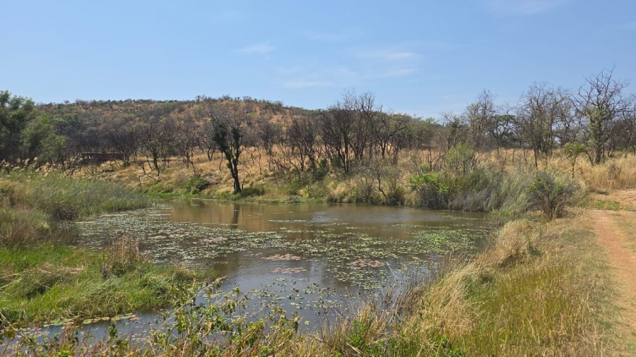 20 Bedroom Property for Sale in Bela Bela Limpopo