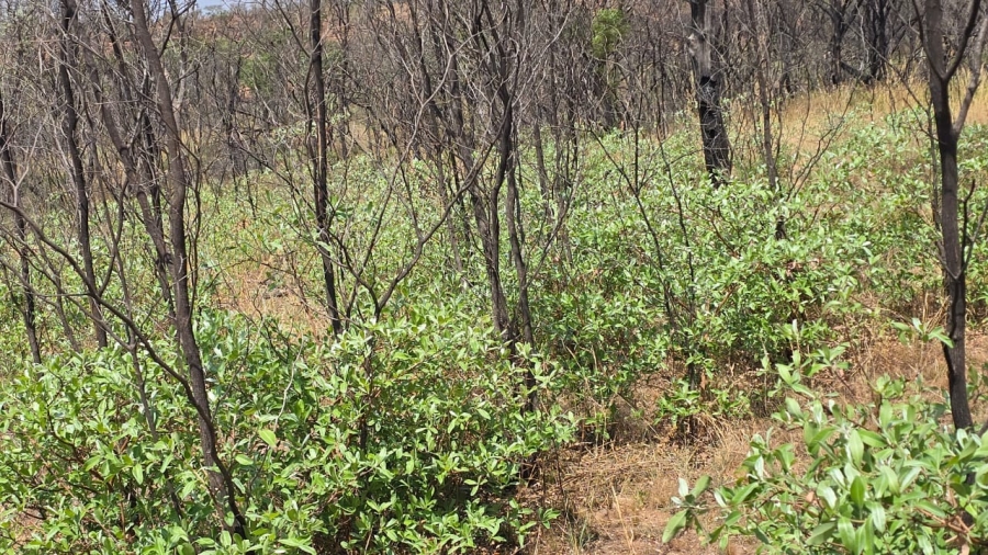 20 Bedroom Property for Sale in Bela Bela Limpopo