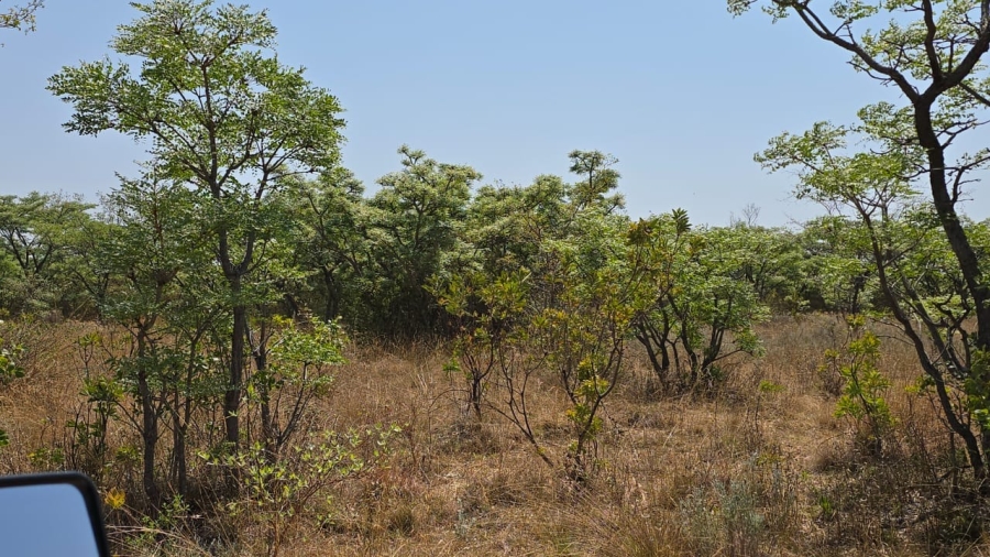 20 Bedroom Property for Sale in Bela Bela Limpopo