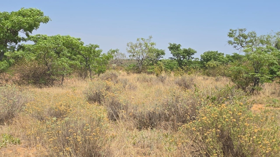 20 Bedroom Property for Sale in Bela Bela Limpopo