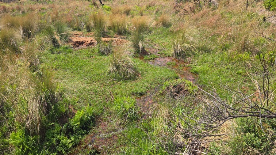 20 Bedroom Property for Sale in Bela Bela Limpopo