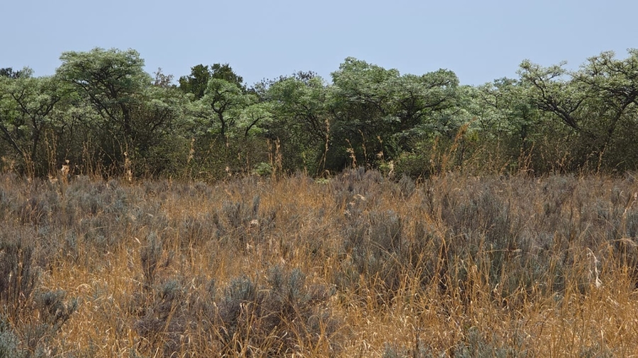 20 Bedroom Property for Sale in Bela Bela Limpopo