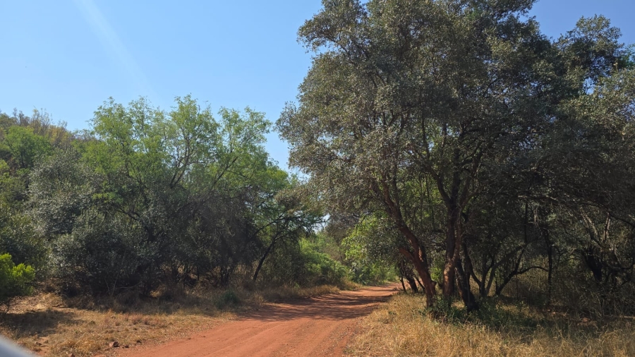 20 Bedroom Property for Sale in Bela Bela Limpopo