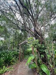 20 Bedroom Property for Sale in Bela Bela Limpopo