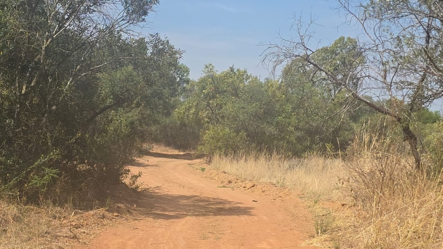 20 Bedroom Property for Sale in Bela Bela Limpopo