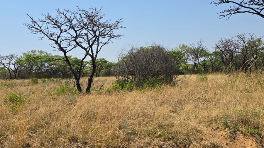 20 Bedroom Property for Sale in Bela Bela Limpopo