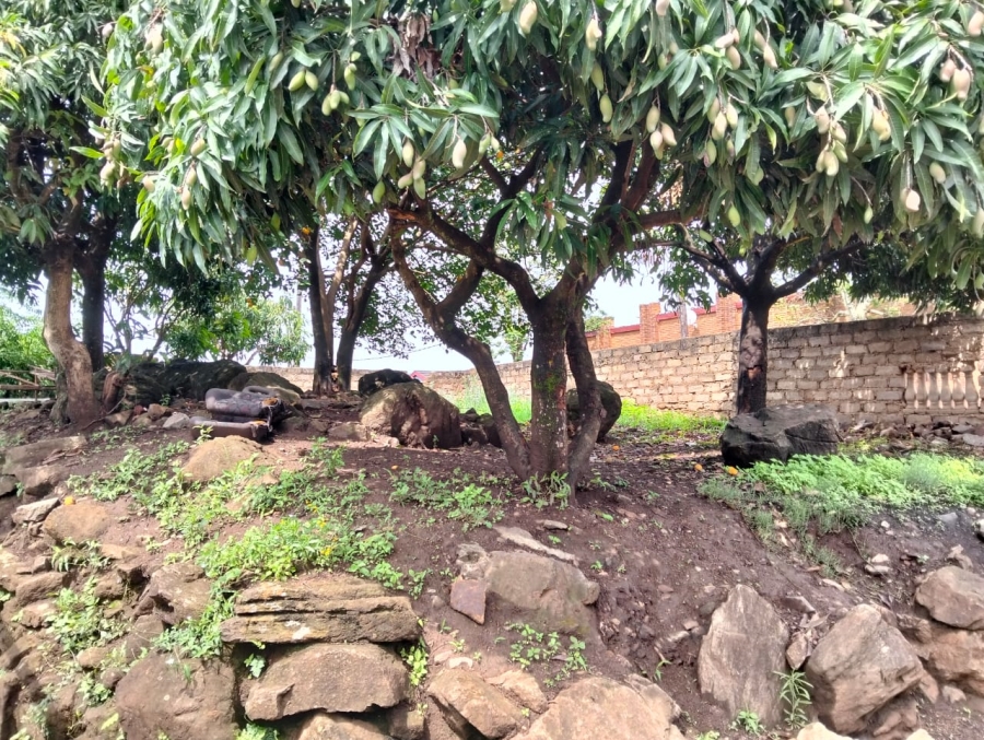 3 Bedroom Property for Sale in Elim Limpopo