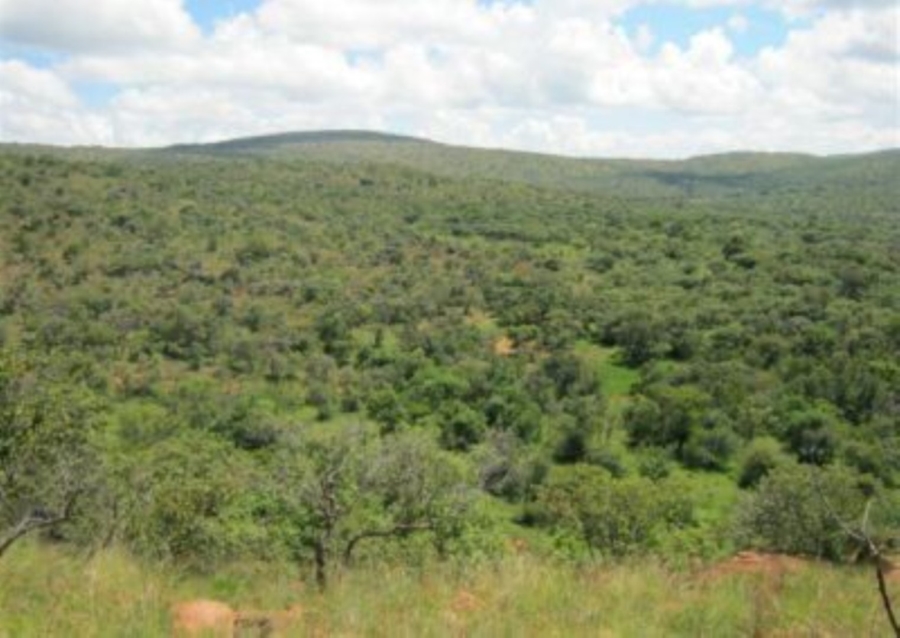 0 Bedroom Property for Sale in Modimolle Limpopo