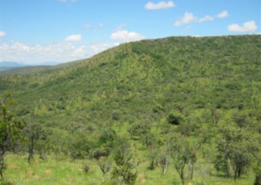 0 Bedroom Property for Sale in Modimolle Limpopo