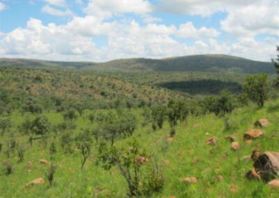 0 Bedroom Property for Sale in Modimolle Limpopo