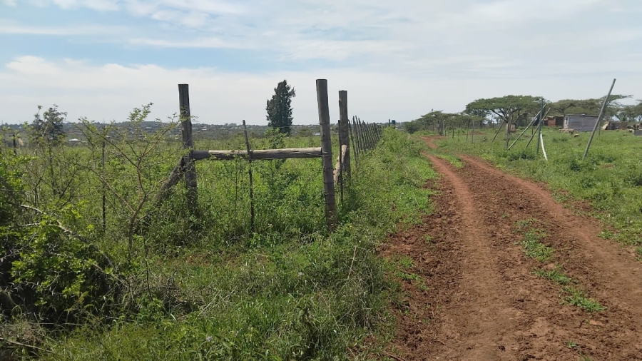 Commercial Property for Sale in Elim Limpopo