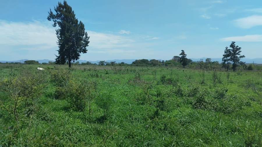 Commercial Property for Sale in Elim Limpopo