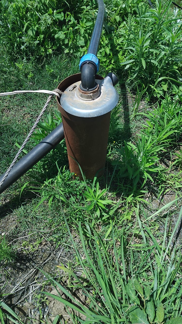 Commercial Property for Sale in Elim Limpopo