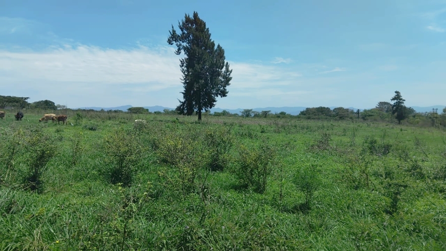 Commercial Property for Sale in Elim Limpopo