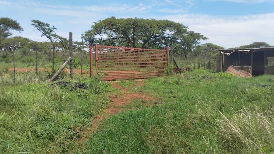 Commercial Property for Sale in Elim Limpopo