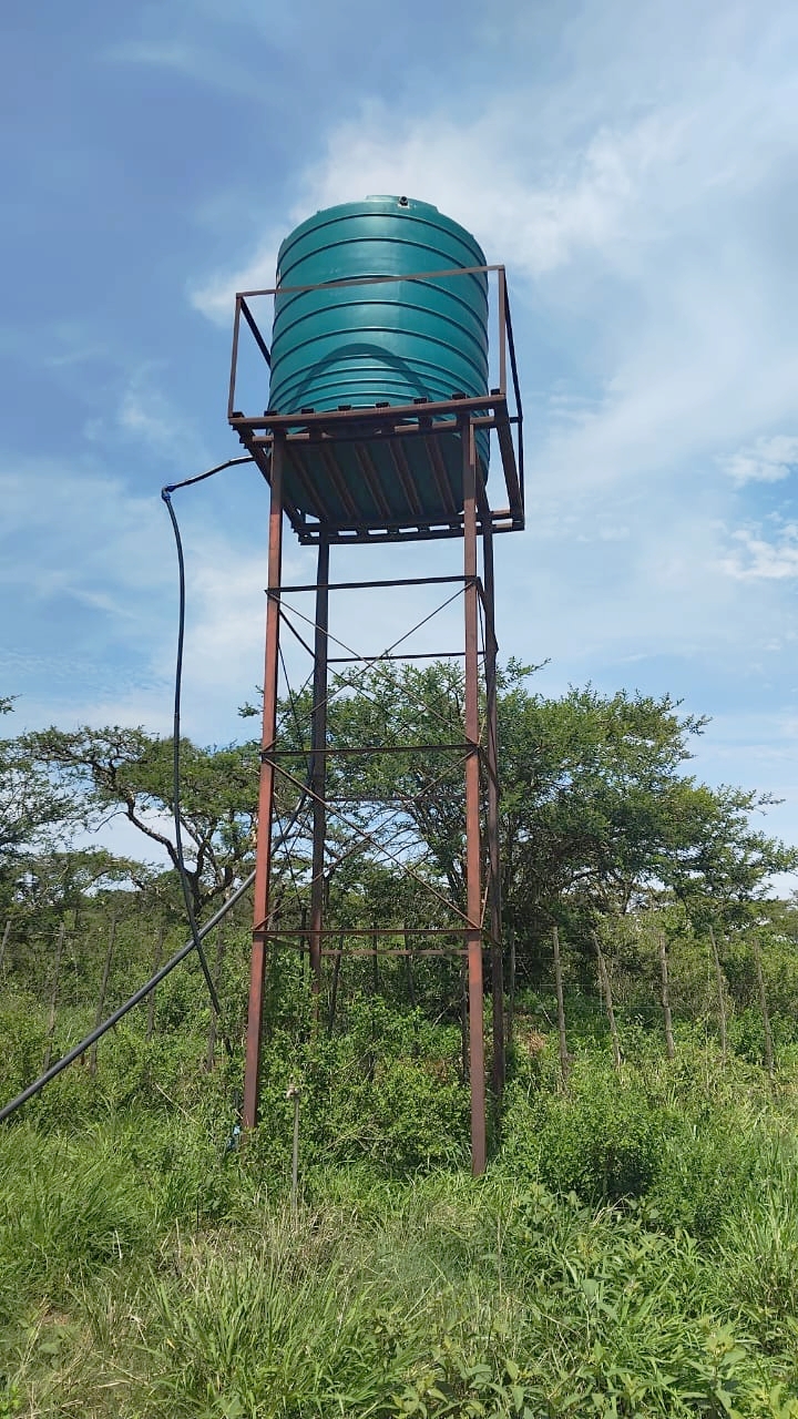 Commercial Property for Sale in Elim Limpopo