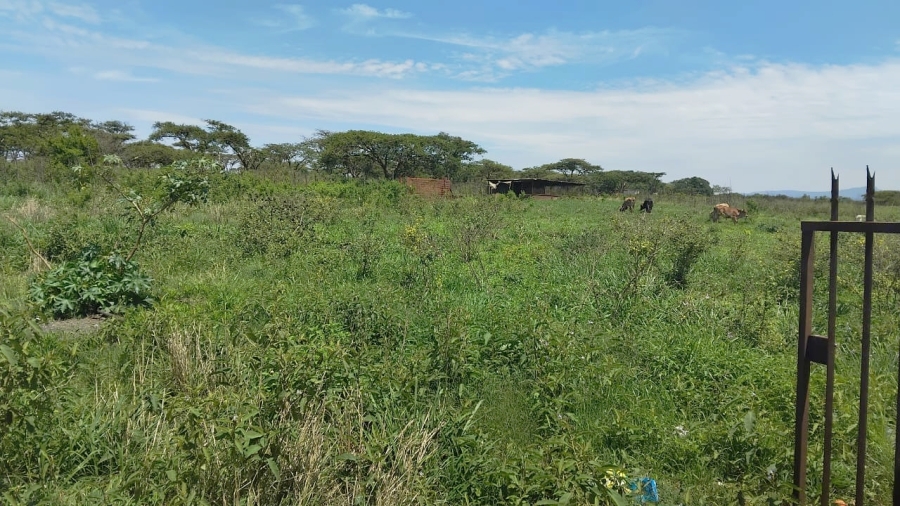 Commercial Property for Sale in Elim Limpopo