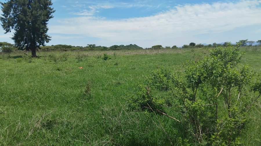 Commercial Property for Sale in Elim Limpopo