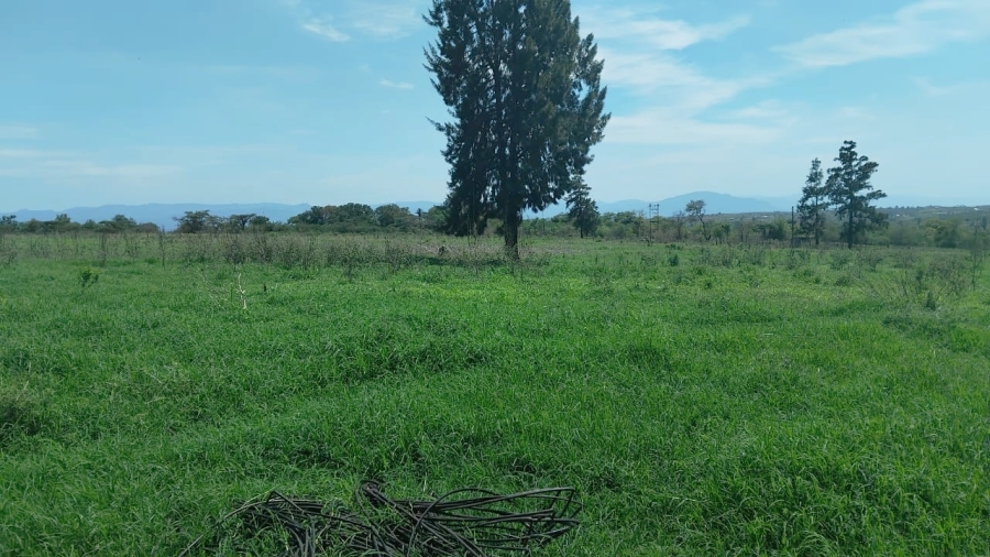 Commercial Property for Sale in Elim Limpopo