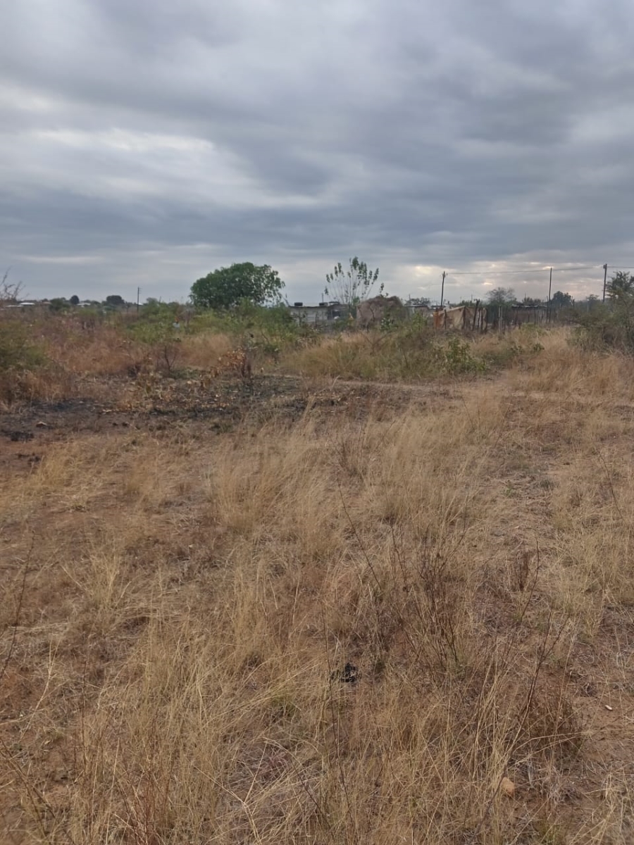 0 Bedroom Property for Sale in Malamulele Limpopo