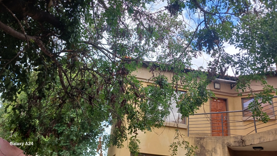 1 Bedroom Property for Sale in Penina Park Limpopo