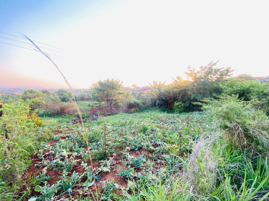 0 Bedroom Property for Sale in Thohoyandou Limpopo