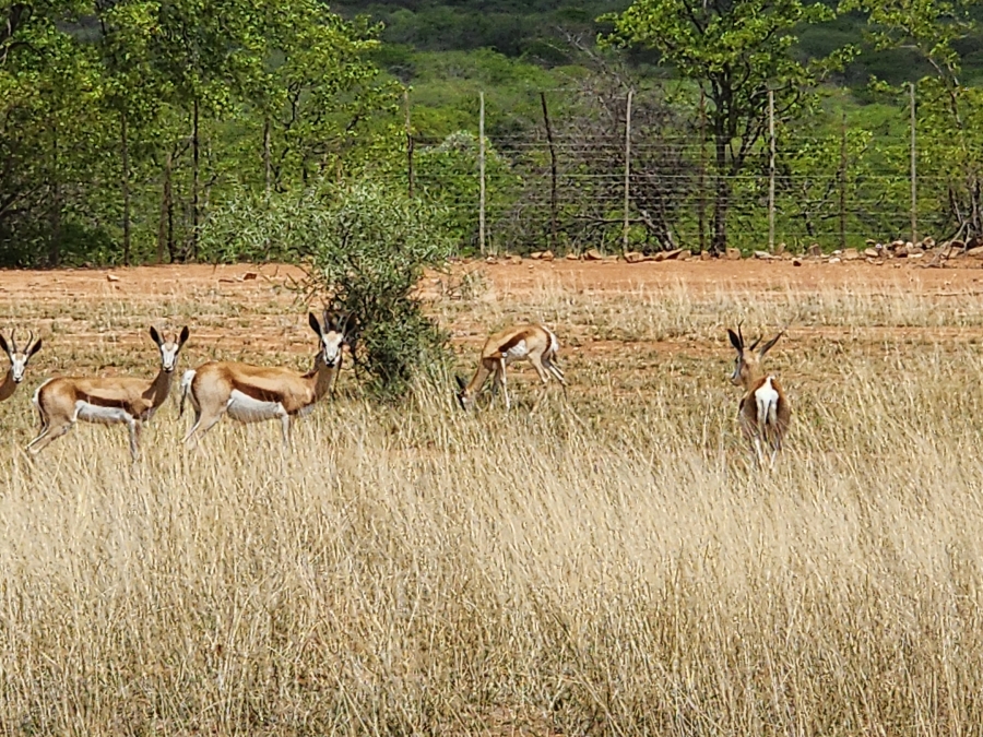 Commercial Property for Sale in Mopane Limpopo